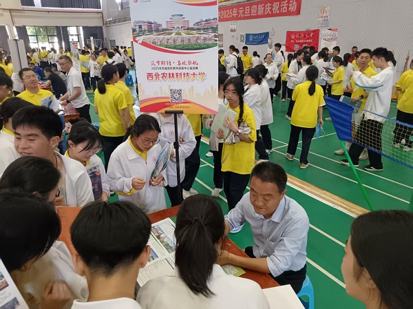 张进升老师认真咨询中.jpg